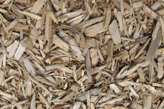 biomass boilers Largie